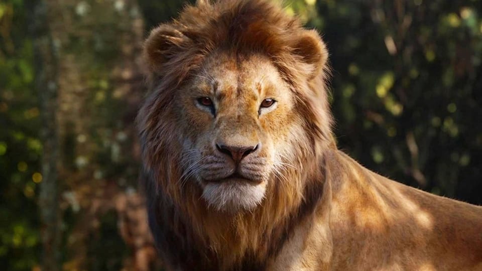 Should We Consider Disney's 'The Lion King' Remake Live-Action?