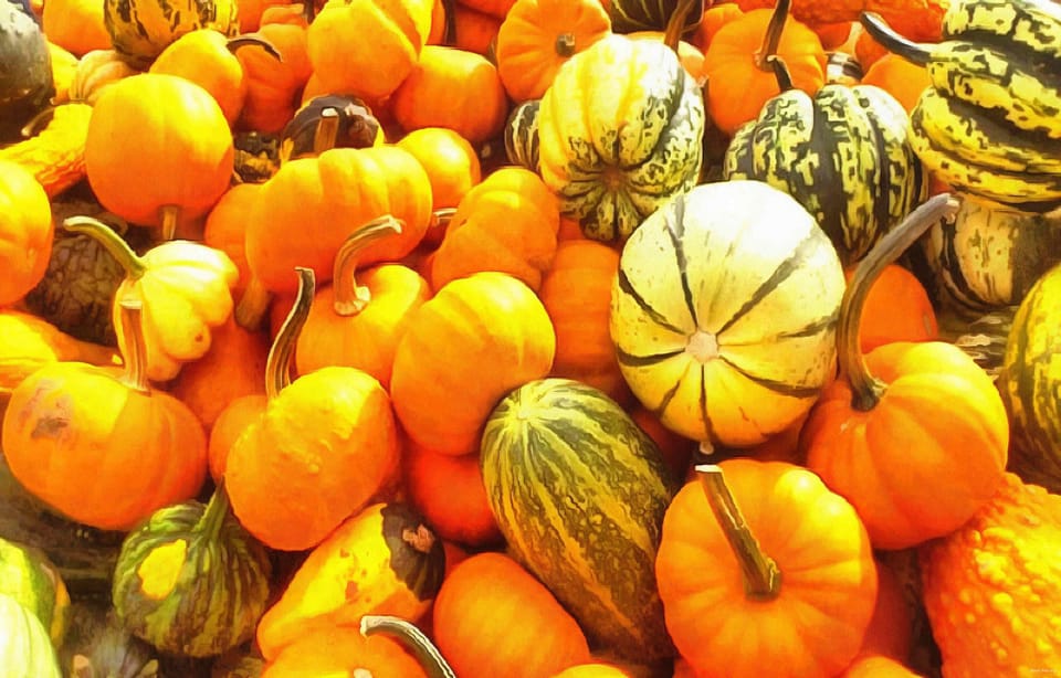 Spooky Movies for Halloween Weekend